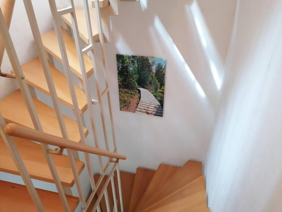 Ferienhaus Hoher Weg - Urlaub, Wandern, Downhill Und Workation Am Nationalpark Harz Sankt Andreasberg Dış mekan fotoğraf