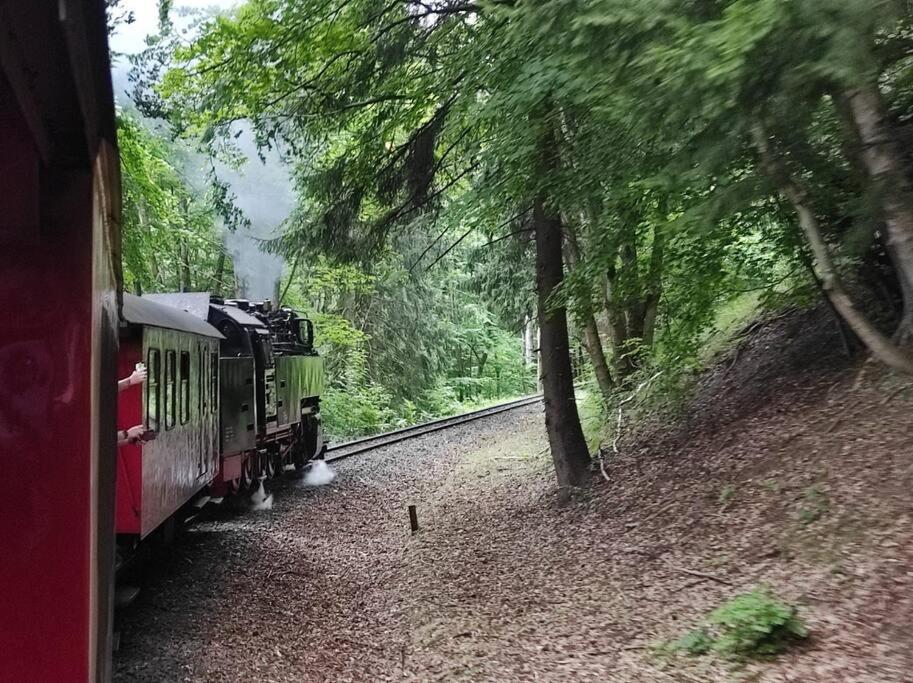 Ferienhaus Hoher Weg - Urlaub, Wandern, Downhill Und Workation Am Nationalpark Harz Sankt Andreasberg Dış mekan fotoğraf