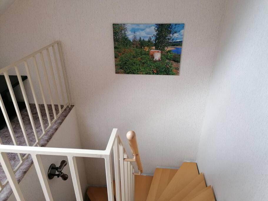 Ferienhaus Hoher Weg - Urlaub, Wandern, Downhill Und Workation Am Nationalpark Harz Sankt Andreasberg Dış mekan fotoğraf