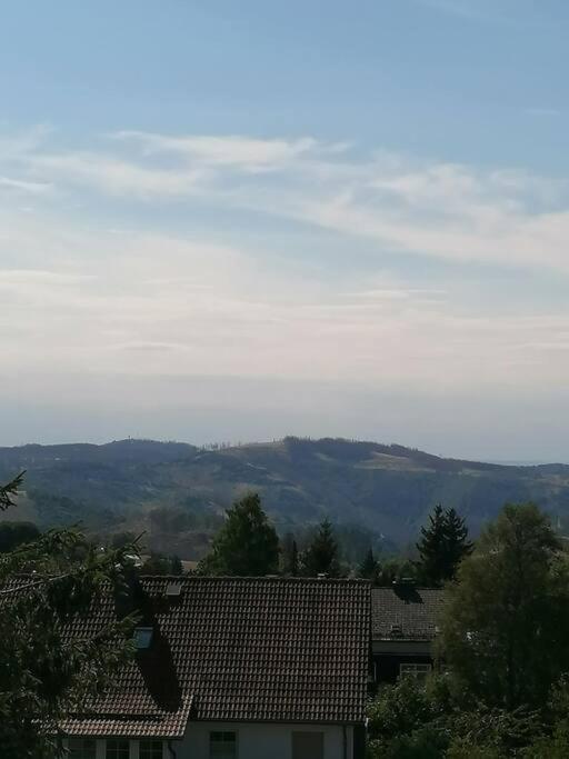 Ferienhaus Hoher Weg - Urlaub, Wandern, Downhill Und Workation Am Nationalpark Harz Sankt Andreasberg Dış mekan fotoğraf