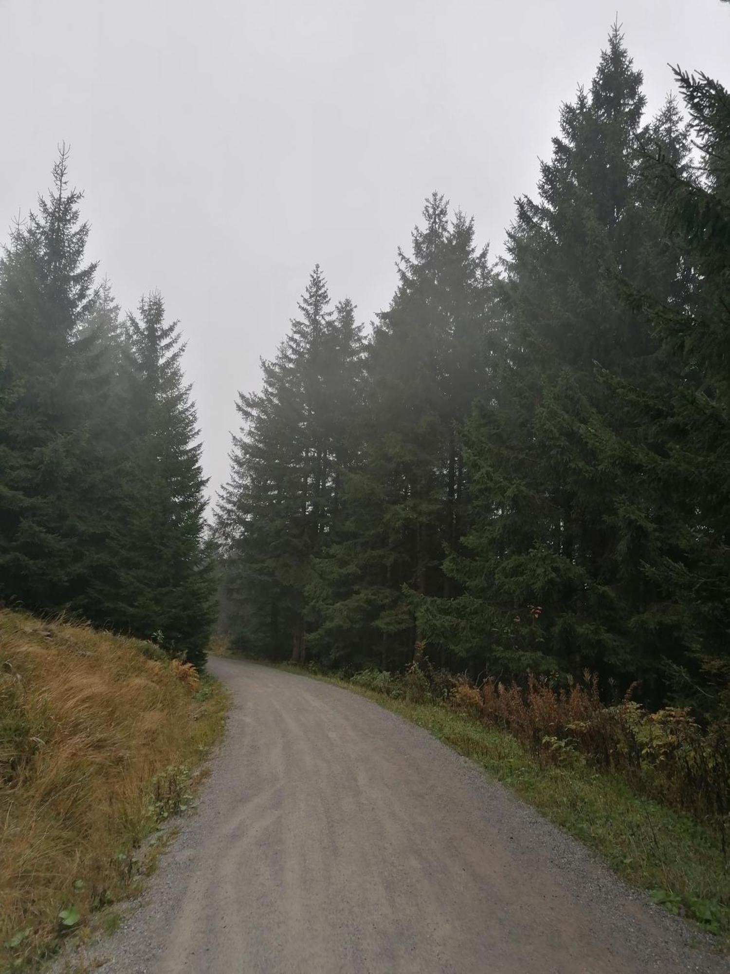 Ferienhaus Hoher Weg - Urlaub, Wandern, Downhill Und Workation Am Nationalpark Harz Sankt Andreasberg Dış mekan fotoğraf