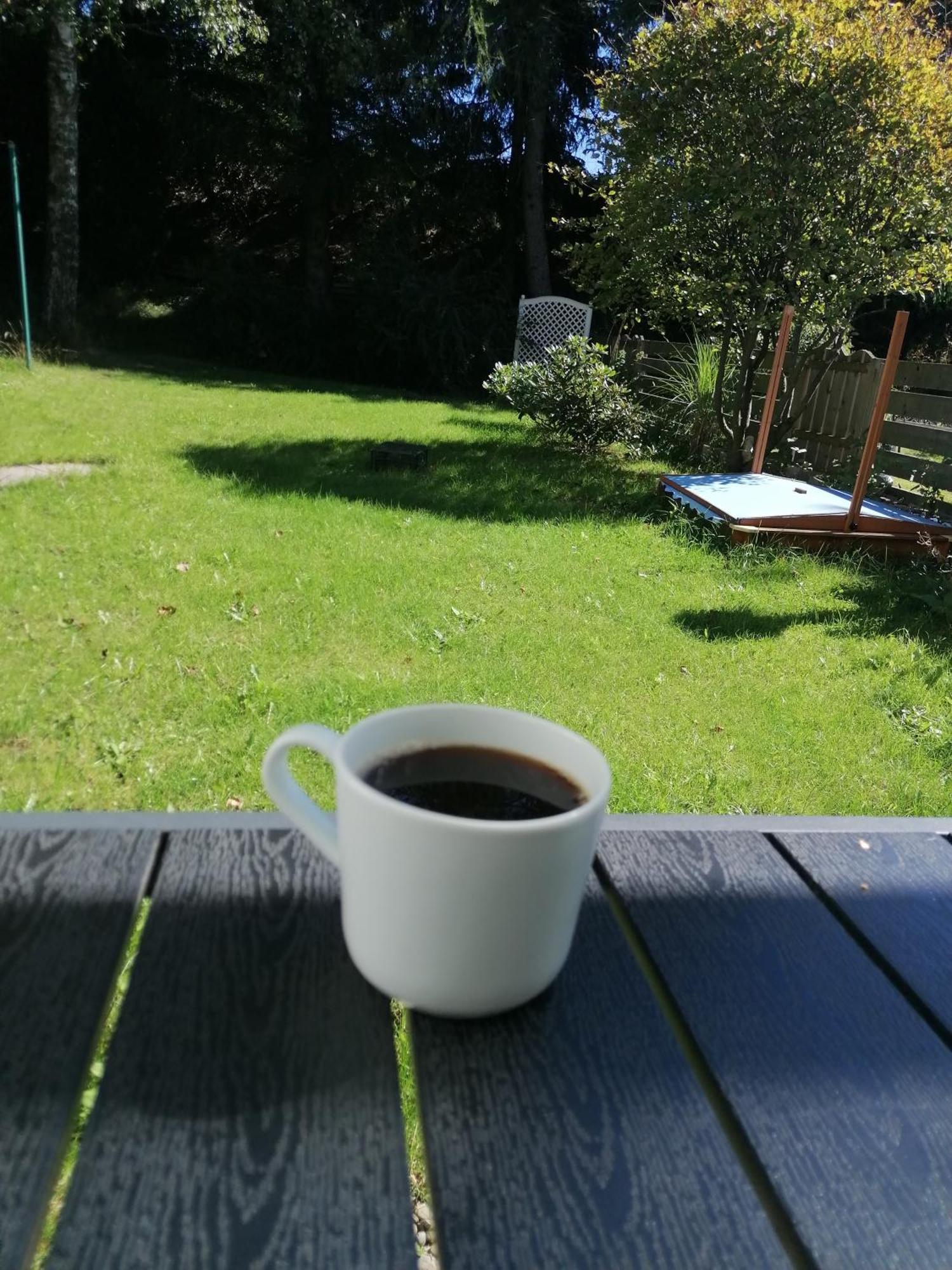 Ferienhaus Hoher Weg - Urlaub, Wandern, Downhill Und Workation Am Nationalpark Harz Sankt Andreasberg Dış mekan fotoğraf